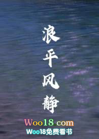 浪平风电场